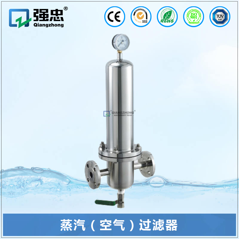 蒸汽(空氣)過(guò)濾器 蒸汽(空氣)過(guò)濾器